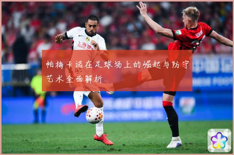帕梅卡诺在足球场上的崛起与防守艺术全面解析